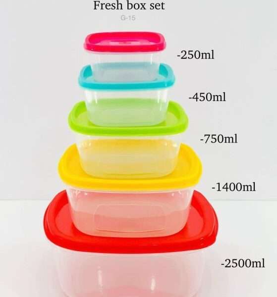 5PCS RECTANGLE FRESH BOX