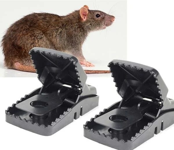 RAT CATCHER