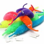 MAGIC WACKY WORM
