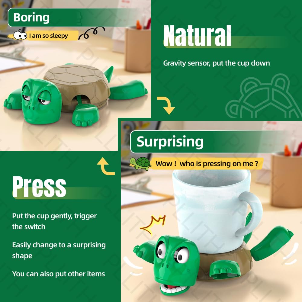 SHOCKED TURTLE COASTER WITHOUT SOUND - Image 2