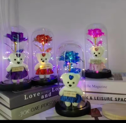 WhatsApp Image 2026-02-13 at 19.37.43