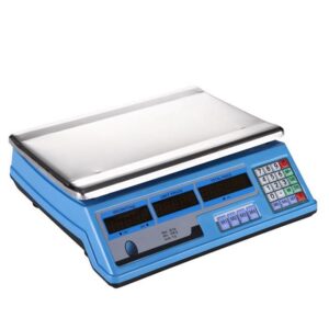 ELECTRIC SCALE
